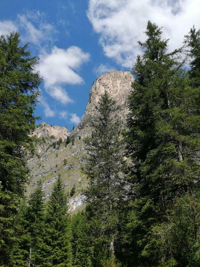 Hotel Alaska Selva di Val Gardena Exteriér fotografie